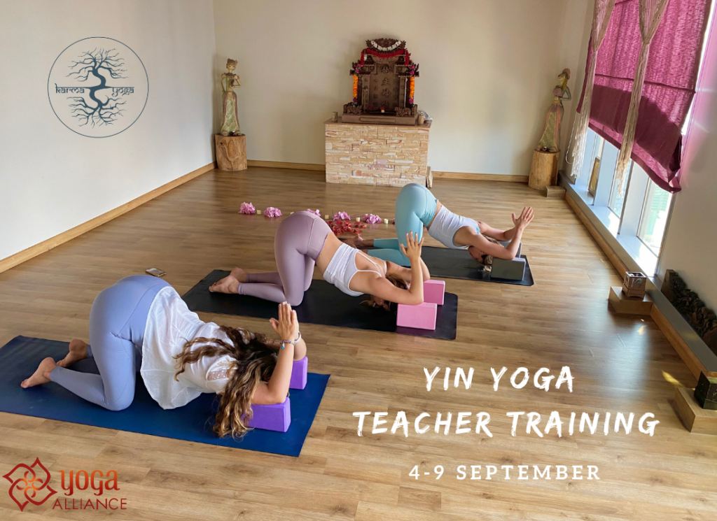 Yin Yoga Teacher Training